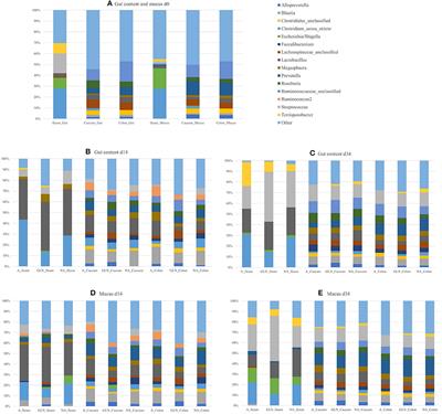 Effects of Three Distinct 2-Week Long Diet Strategies After Transport on Weaned Pigs' Short and Long-Term Welfare Markers, Behaviors, and Microbiota